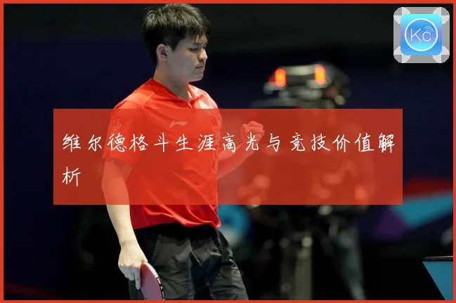 维尔德格斗生涯高光与竞技价值解析